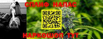 спиды Славгород