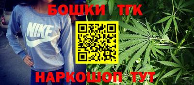 гашик Сланцы