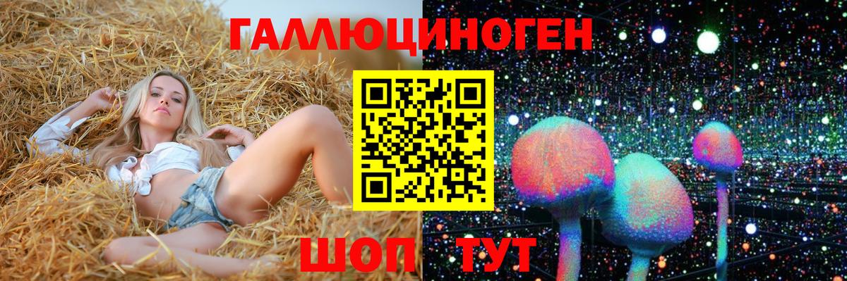 Псилоцибиновые грибы мицелий Пушкино